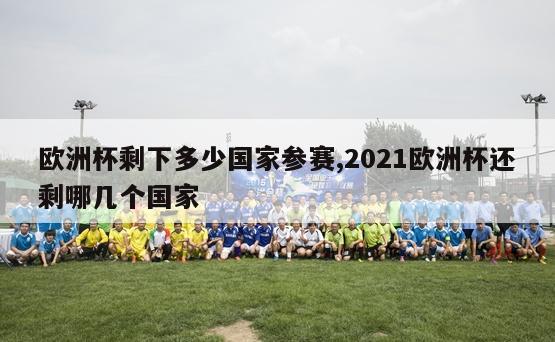 欧洲杯剩下多少国家参赛,2021欧洲杯还剩哪几个国家