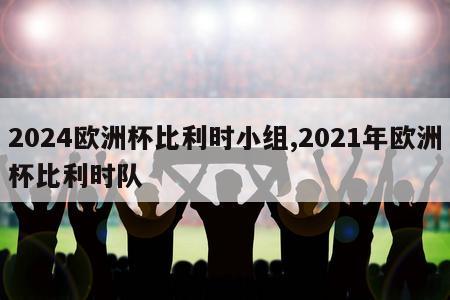 2024欧洲杯比利时小组,2021年欧洲杯比利时队