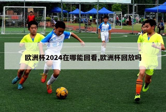 欧洲杯2024在哪能回看,欧洲杯回放吗