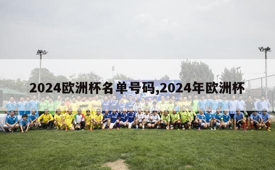 2024欧洲杯名单号码,2024年欧洲杯